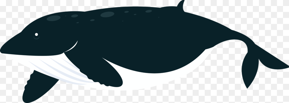 Clipart Ocean Land Ocean, Animal, Mammal, Sea Life, Whale Free Png