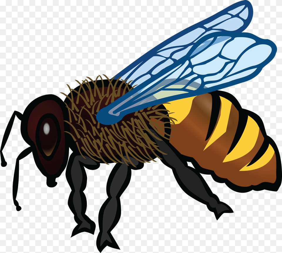 Clipart Of A Bee, Animal, Honey Bee, Insect, Invertebrate Png Image