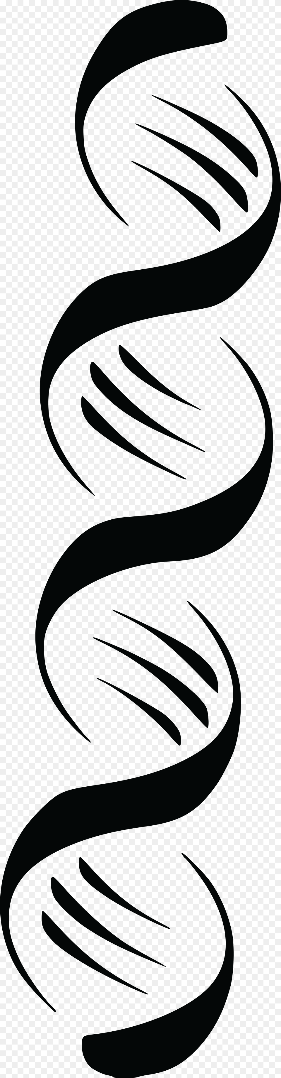 Clipart Of A Black And White Dna Double Helix Strand, Coil, Spiral Free Transparent Png