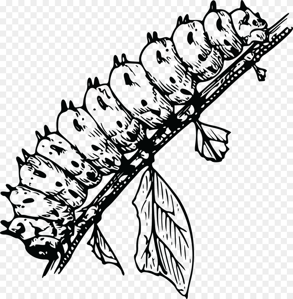 Clipart Of A Caterpillar Bug Larva Black And White, Accessories, Pattern Png Image