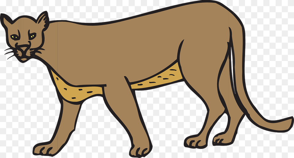 Clipart Of A Cougar, Animal, Mammal, Wildlife Png