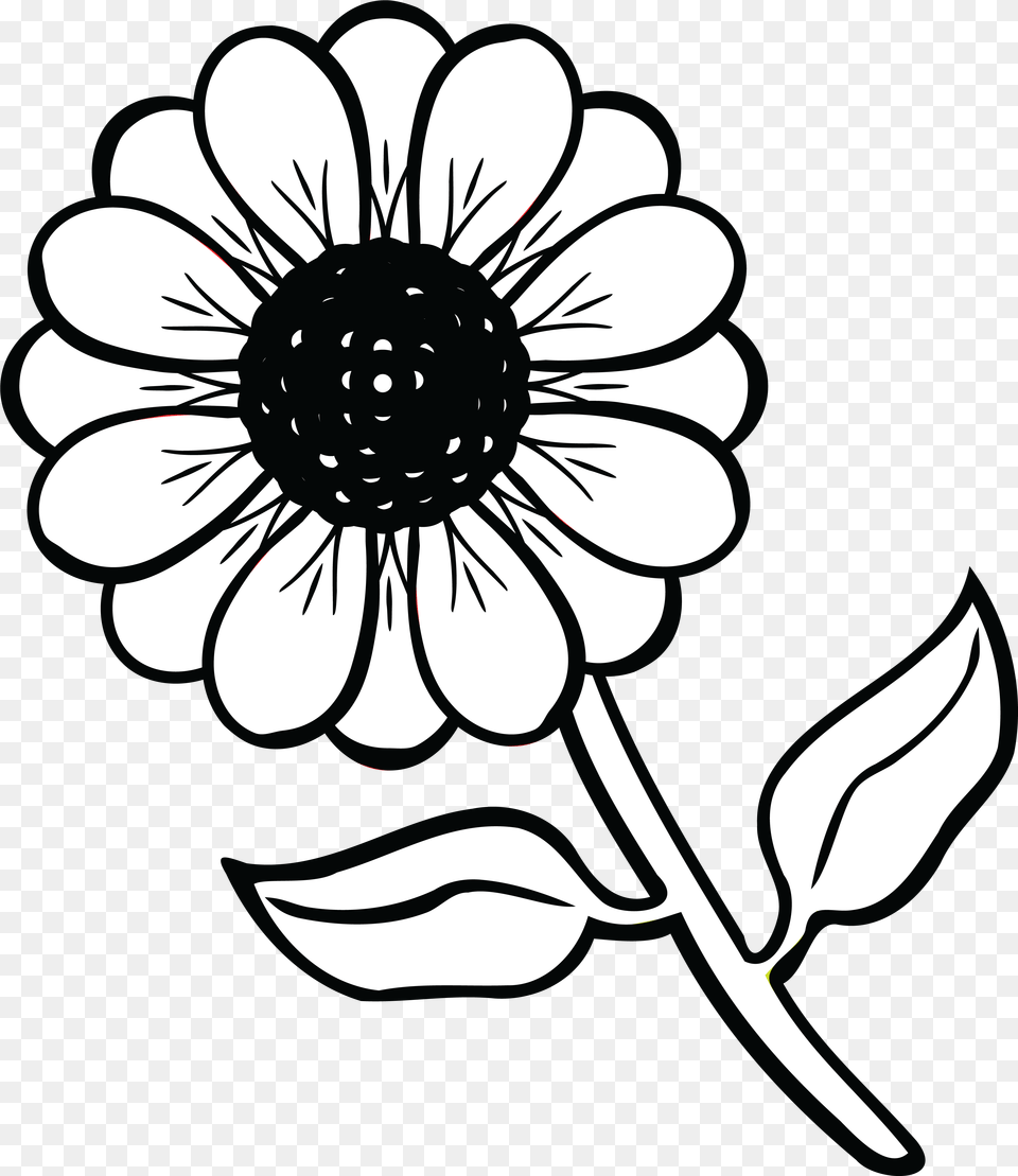 Clipart Of A Daisy Flower Black And White Flower Flower Clipart Black And White, Plant, Art, Anemone, Dahlia Png Image