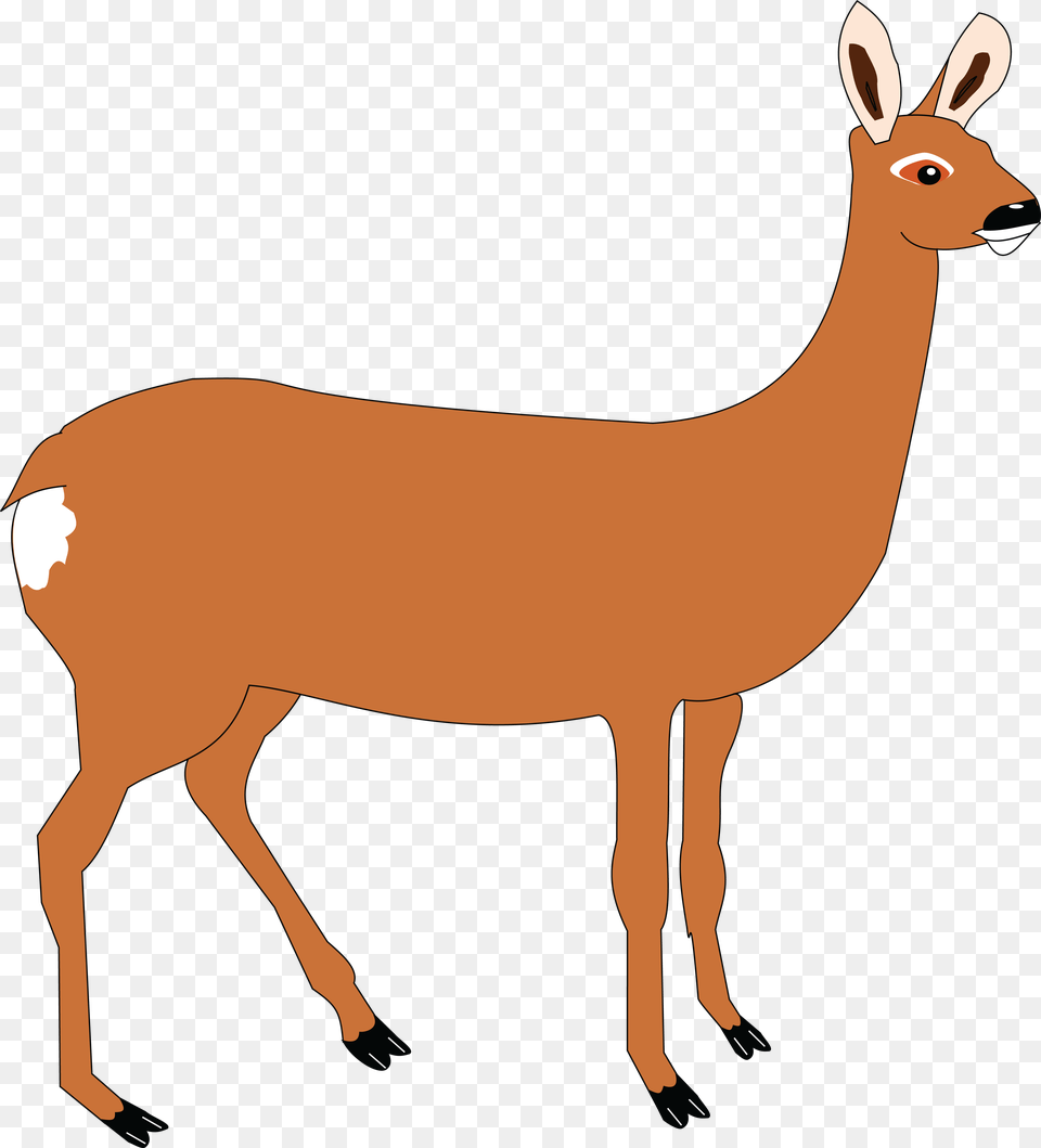 Clipart Of A Doe Deer, Animal, Mammal, Wildlife, Kangaroo Free Png