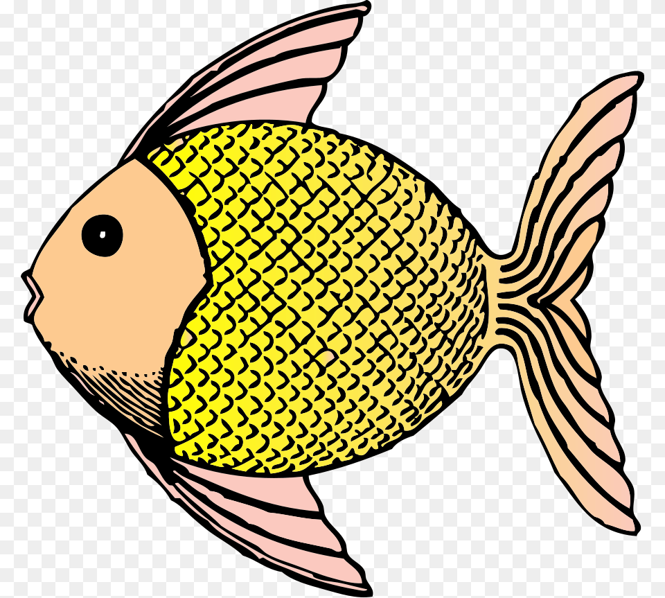 Clipart Of A Fish, Animal, Sea Life, Angelfish, Person Free Png Download