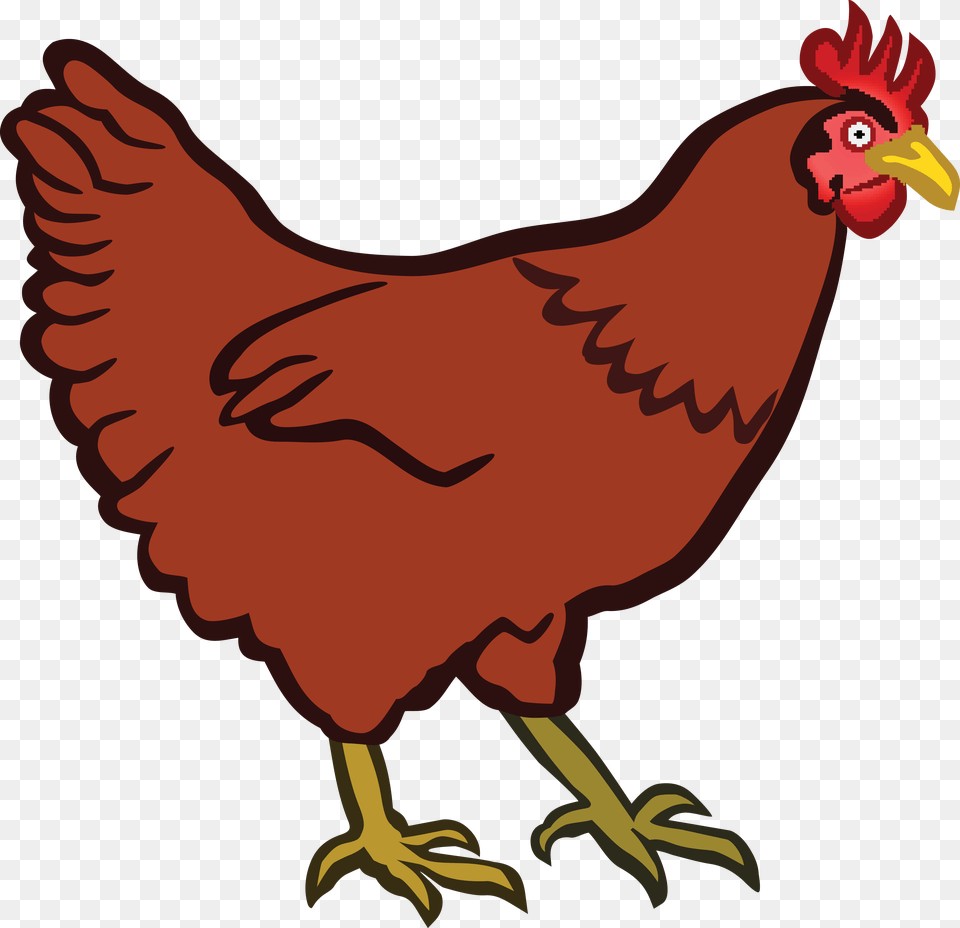 Clipart Of A Hen Clip Art, Animal, Bird, Chicken, Fowl Free Png Download