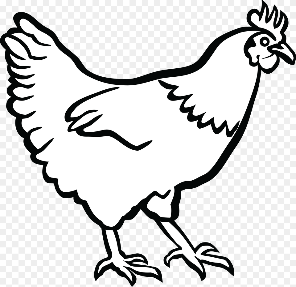 Clipart Of A Hen In Black And White, Stencil, Poultry, Person, Animal Free Png Download