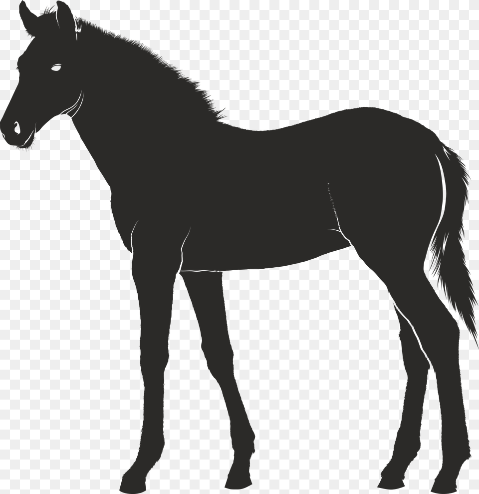 Clipart Of A Horse French Mastiff Silhouette, Animal, Colt Horse, Mammal Png Image