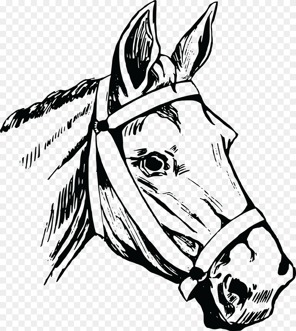 Clipart Of A Horse Head Horse Head Illustration, Halter, Animal, Mammal Free Png