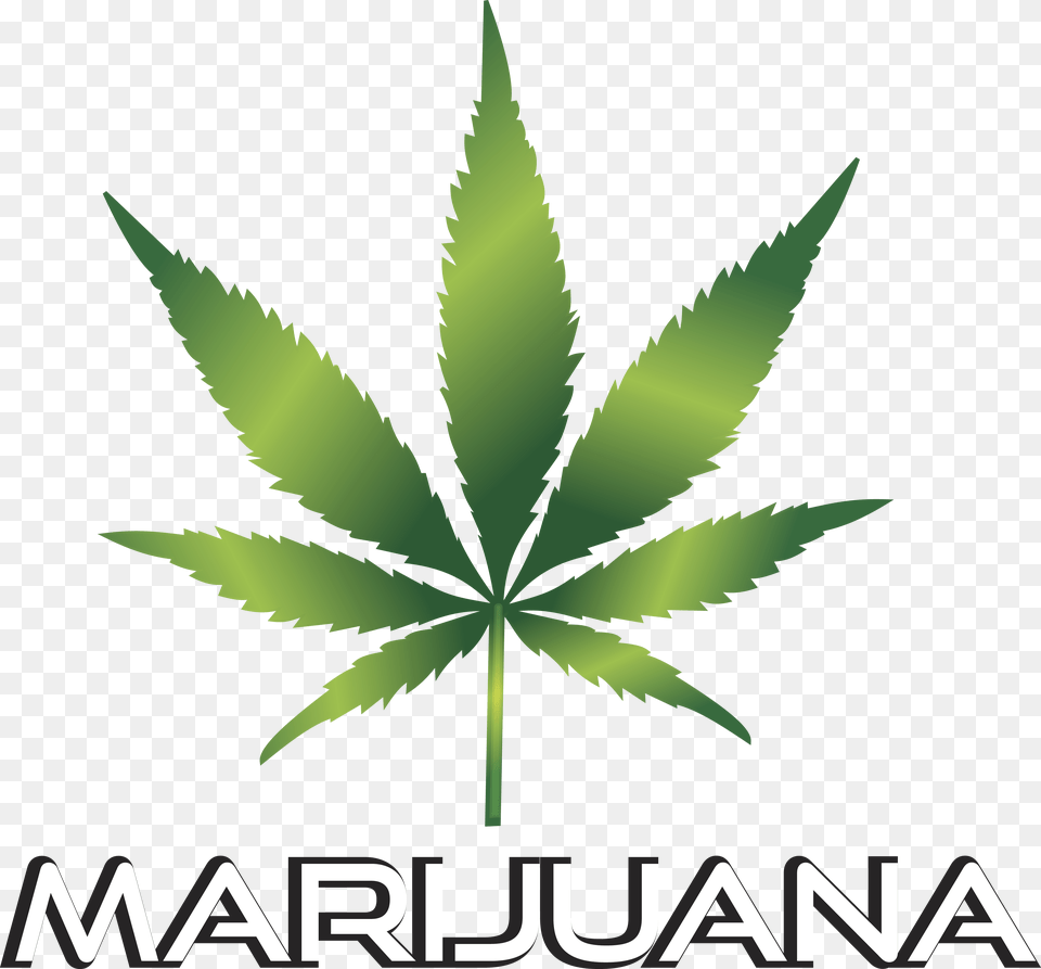 Clipart Of A Marijuana Leaf, Plant, Weed, Animal, Bird Png