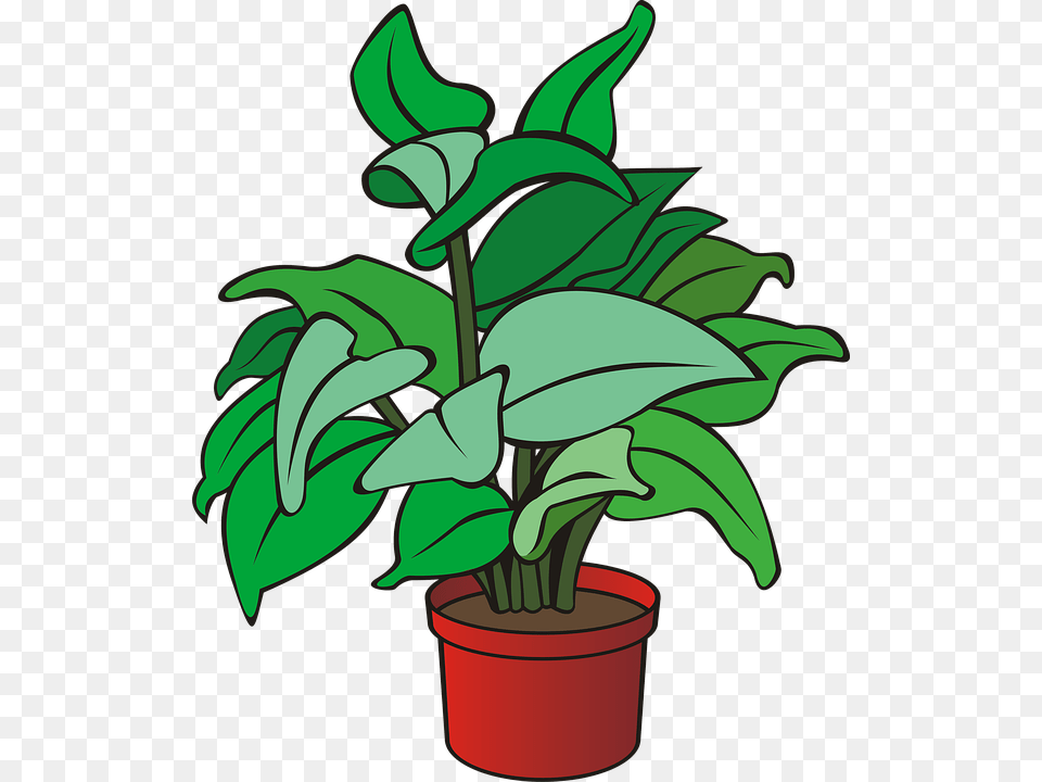 Clipart Of A Plant, Leaf, Potted Plant, Flower, Dynamite Free Transparent Png