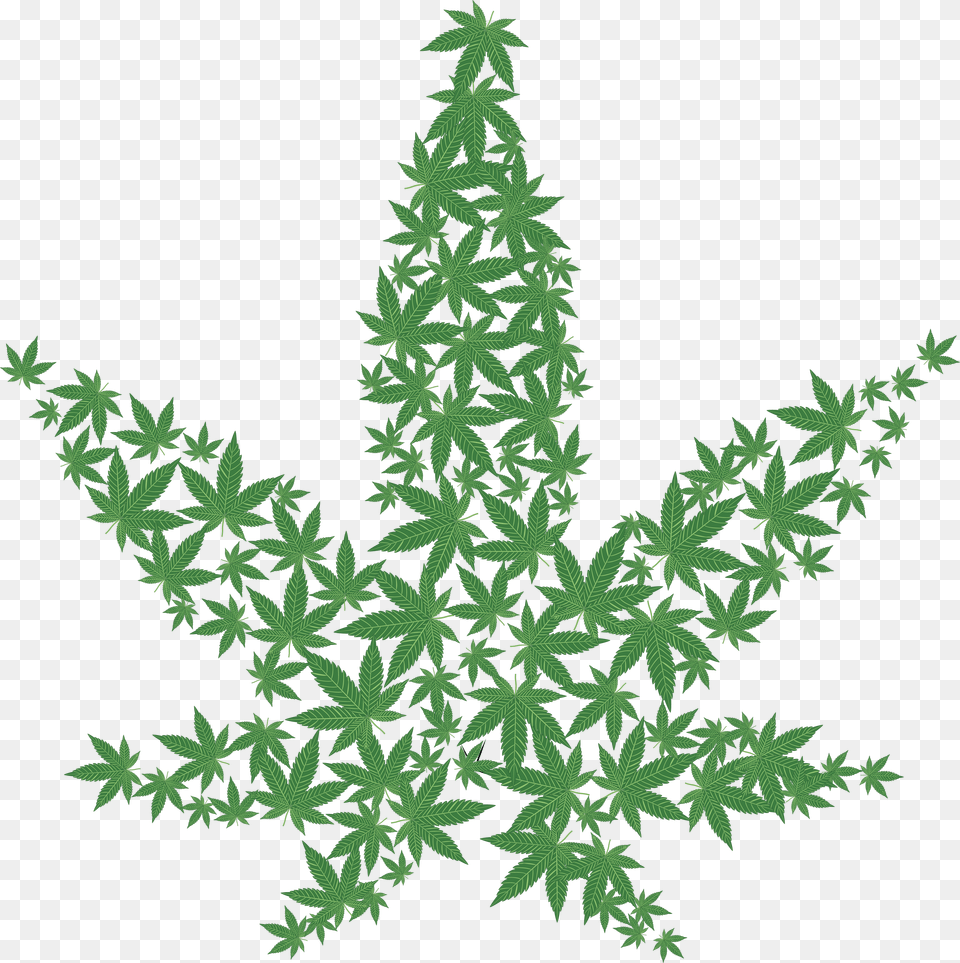 Clipart Of A Pot Cannabis Marijuana Leaf, Plant, Tree, Green, Vegetation Free Png