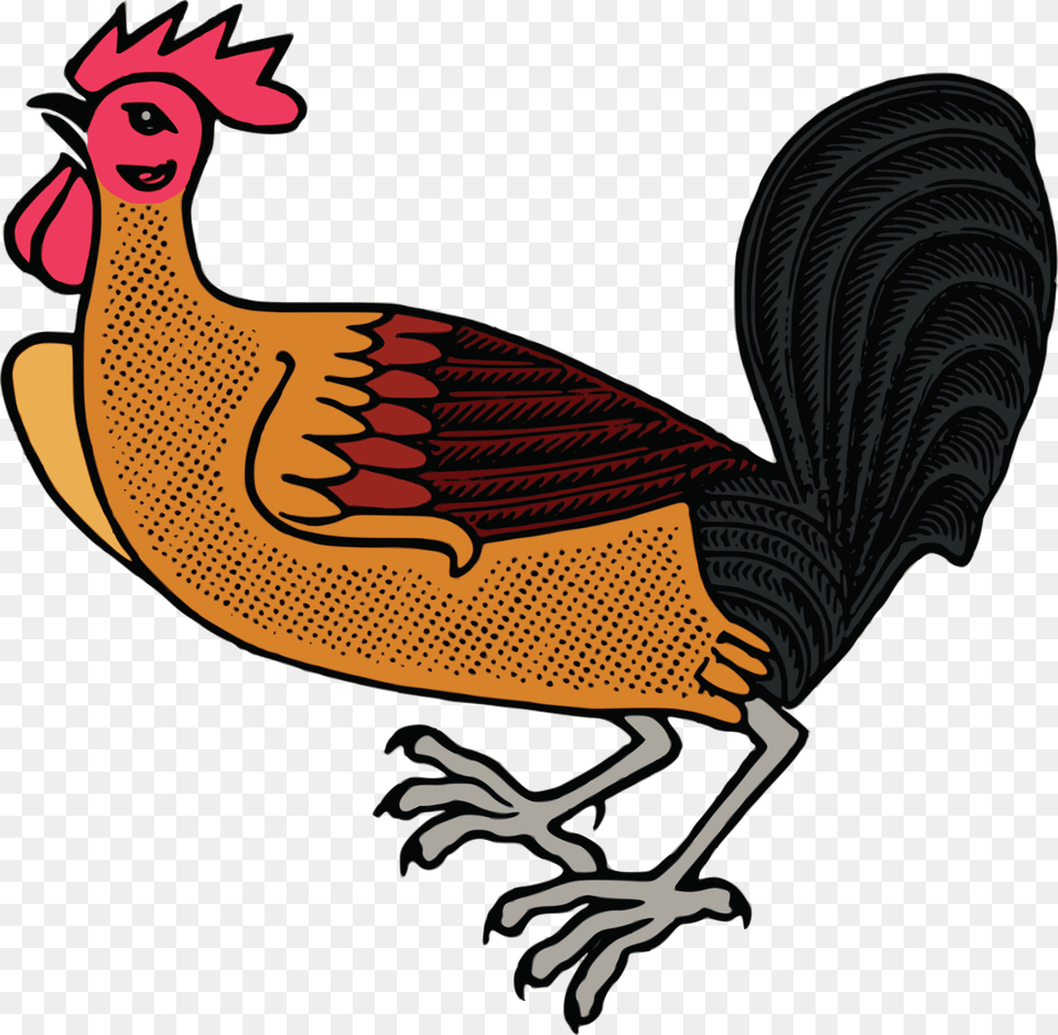 Clipart Of A Rooster, Animal, Bird, Fowl, Poultry Png