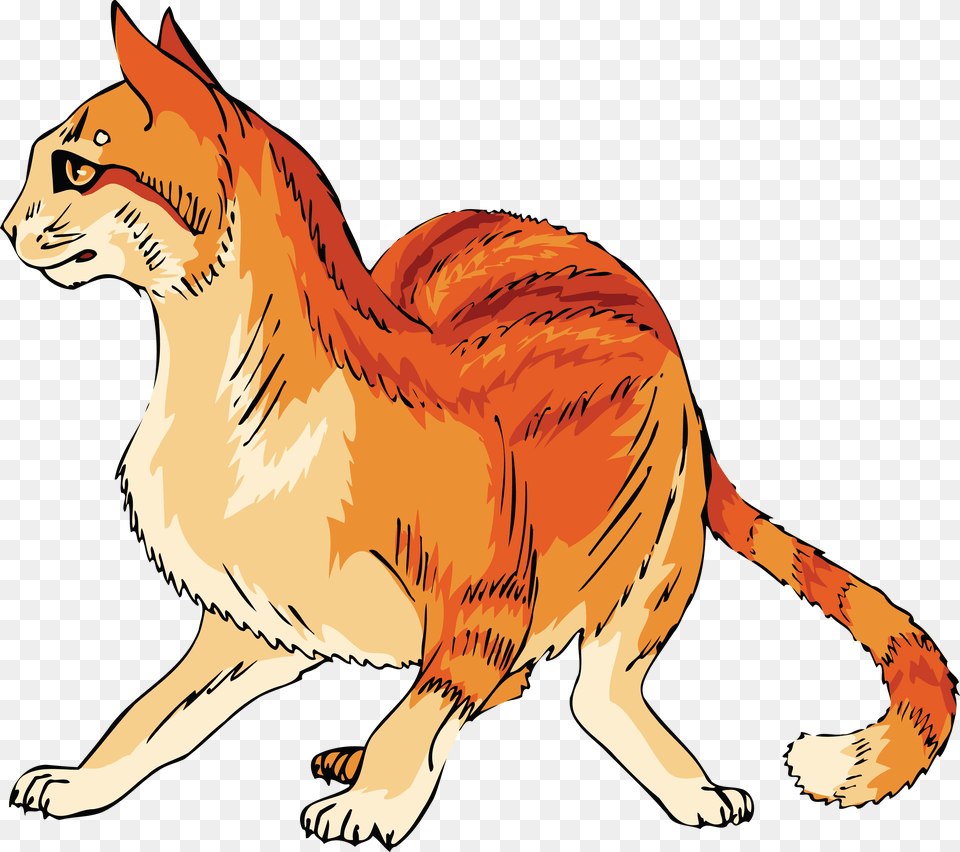 Clipart Of A Scared Orange Cat Cat Mango Shaped Space Cat Colrs, Animal, Lion, Mammal, Wildlife Png Image