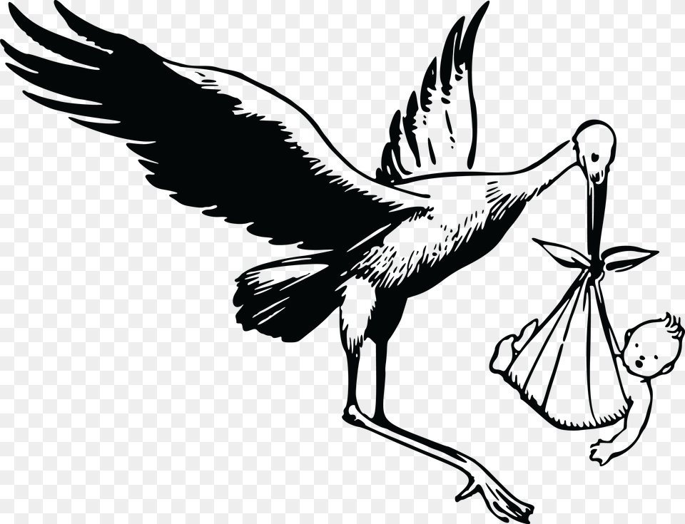 Clipart Of A Stork And Baby, Animal, Bird, Waterfowl Png Image