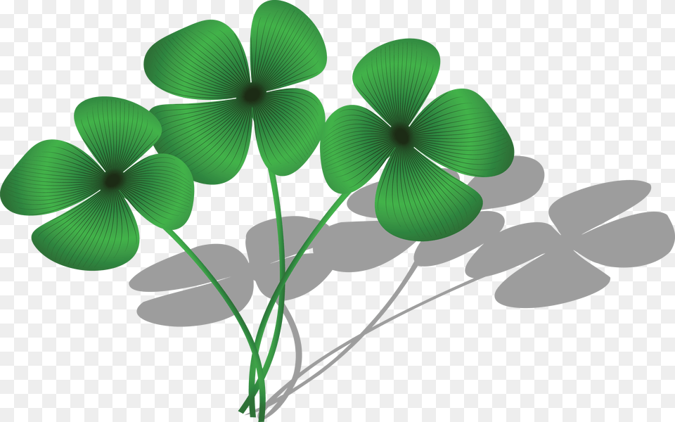 Clipart Of A Trio Of Four Leaf Clovers And Shadows Background Four Leaf Clovers Clipart, Plant, Green, Flower Free Transparent Png
