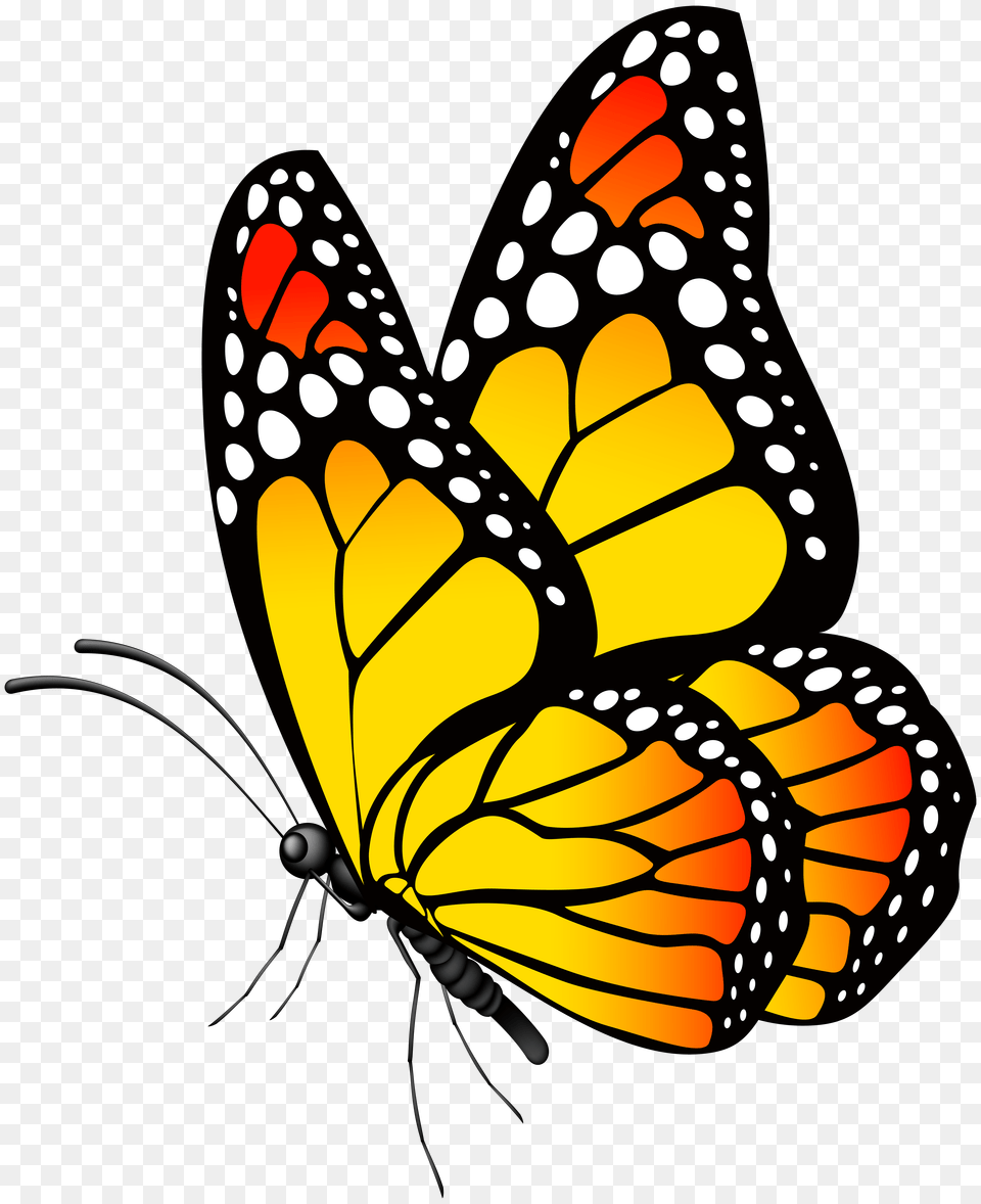 Clipart Of A Yellow Butterfly Clip Art Images, Animal, Insect, Invertebrate, Monarch Png Image