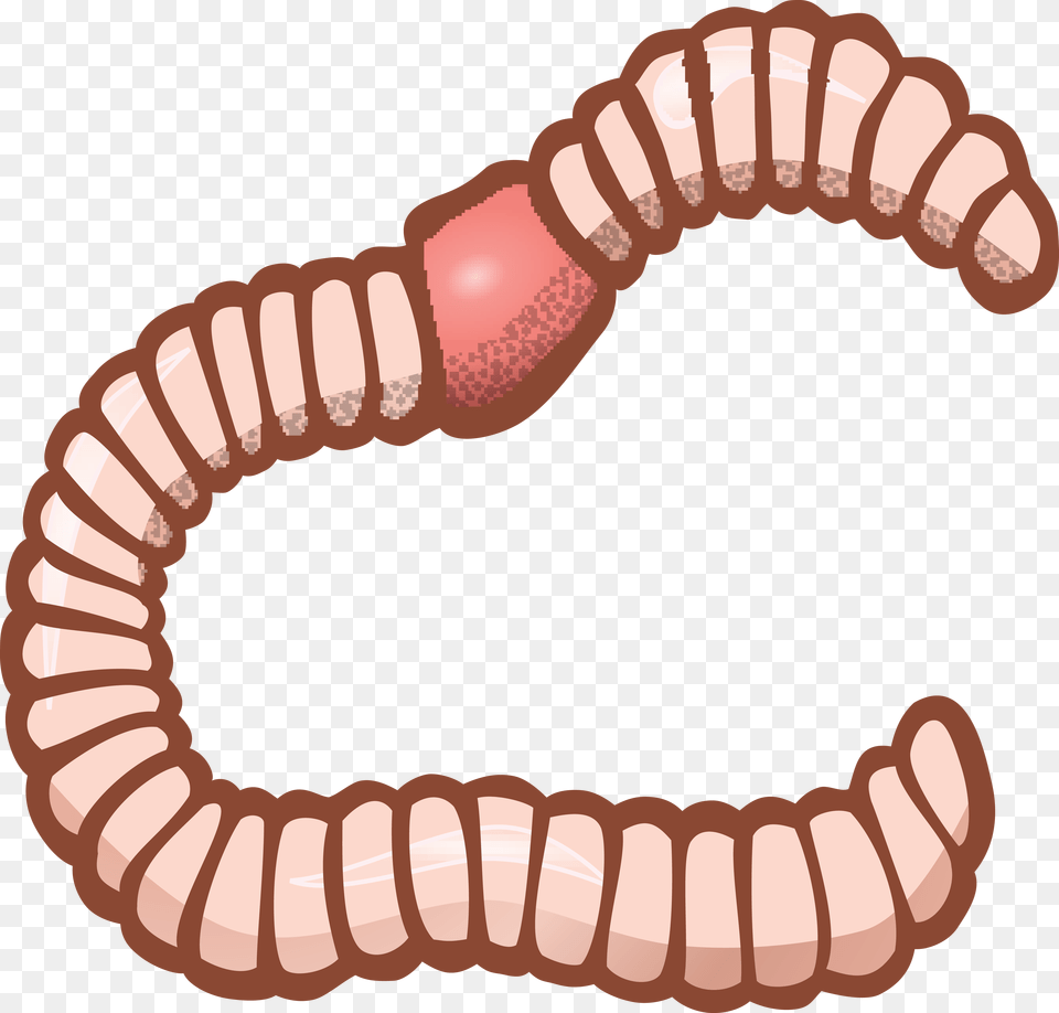 Clipart Of An Earthworm, Animal, Invertebrate, Worm, Dynamite Free Transparent Png