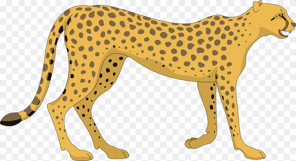 Clipart Of Animals Cheetah Clipart, Animal, Mammal, Wildlife, Panther Free Png Download