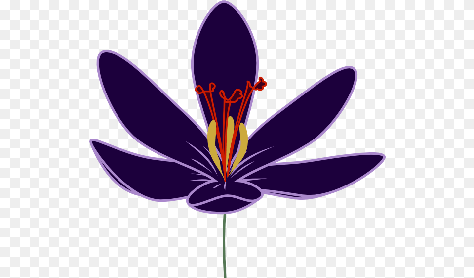 Clipart Of Barry Crocus And Dogwood Clip Art, Anther, Flower, Plant, Petal Png Image