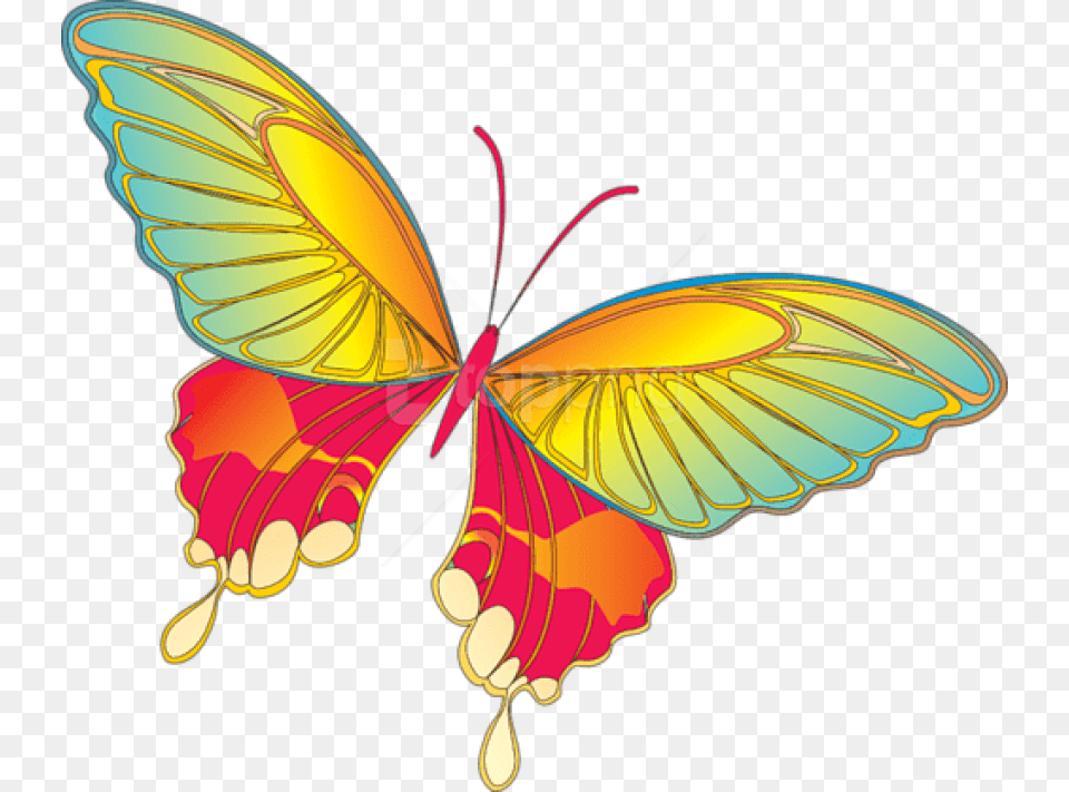 Clipart Of Birds And Butterflies, Animal, Butterfly, Insect, Invertebrate Free Transparent Png