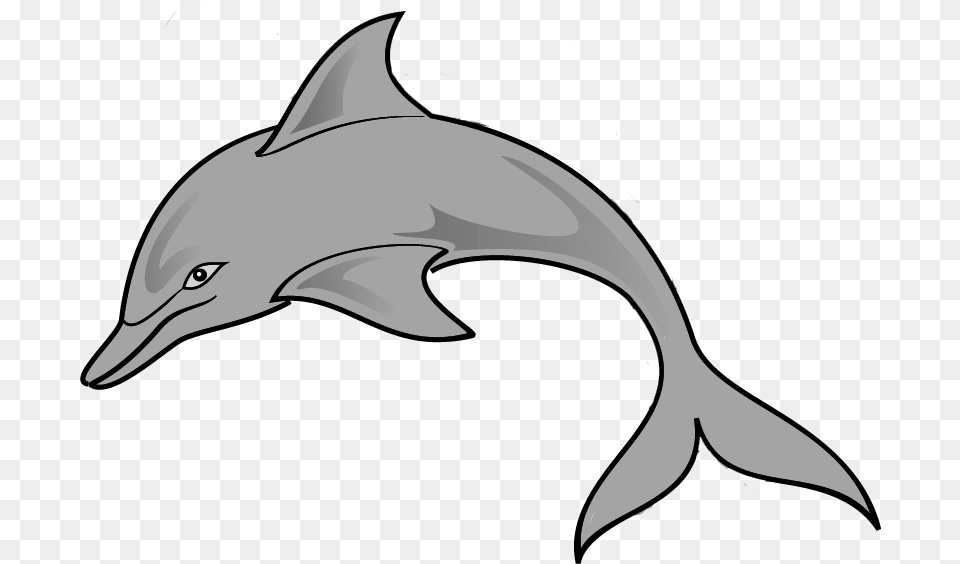 Clipart Of Common Gray And Dolphin Of Common Bottlenose Dolphin, Animal, Mammal, Sea Life, Fish Png Image