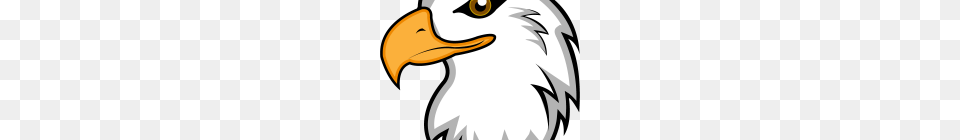 Clipart Of Eagles Eagle Silhouette Clip Art, Animal, Beak, Bird, Bald Eagle Free Png