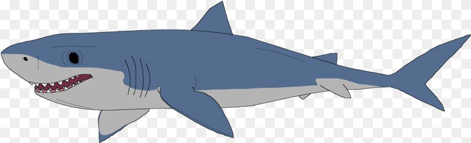 Clipart Of Great White Shark, Animal, Fish, Sea Life, Great White Shark Png Image