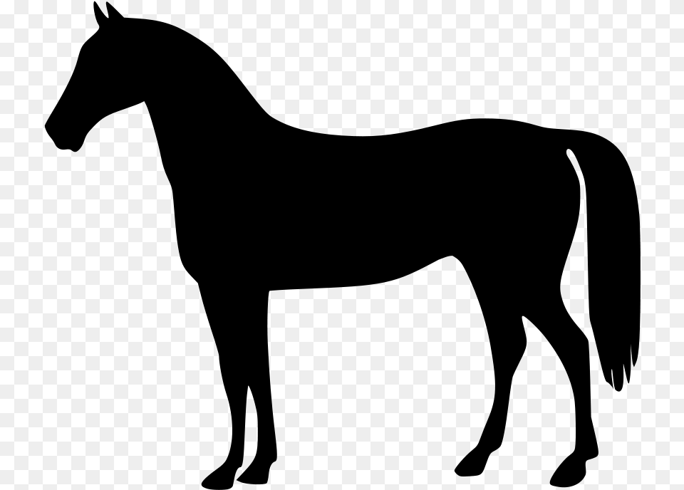 Clipart Of Horses Horse The And 2 Horse Bulldog Silhouette, Gray Png Image