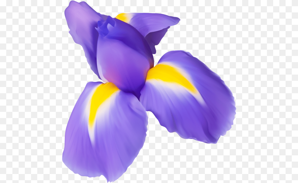 Clipart Of Iris Flower Clip Stock Purple Iris Flower Clip Art, Petal, Plant, Person Free Png Download