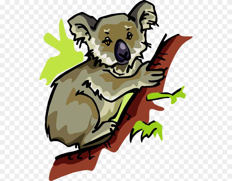 Clipart Of Koala, Baby, Person, Animal, Mammal Free Png
