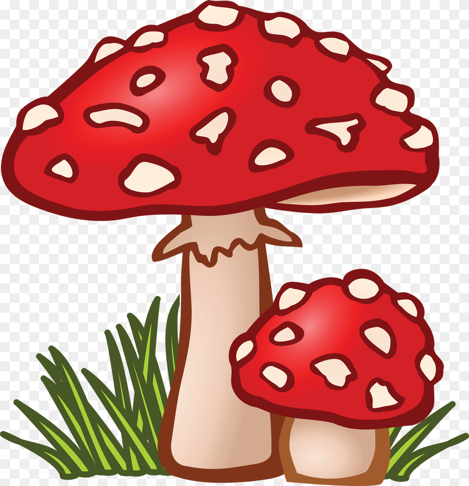 Clipart Of Mushrooms, Agaric, Amanita, Fungus, Mushroom Png