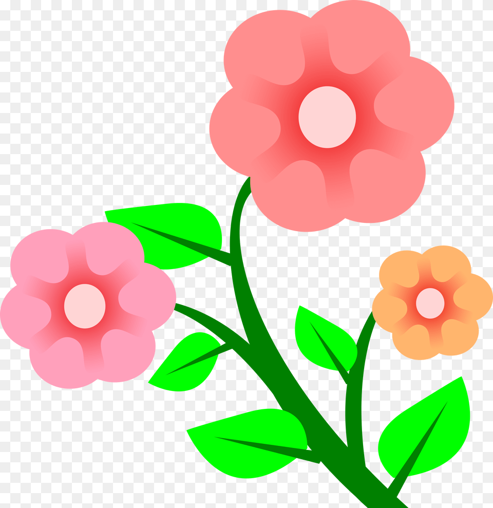 Clipart Of Pretty Escorts And Beautiful Rose Pink Flower Vector, Anemone, Petal, Plant, Geranium Png Image