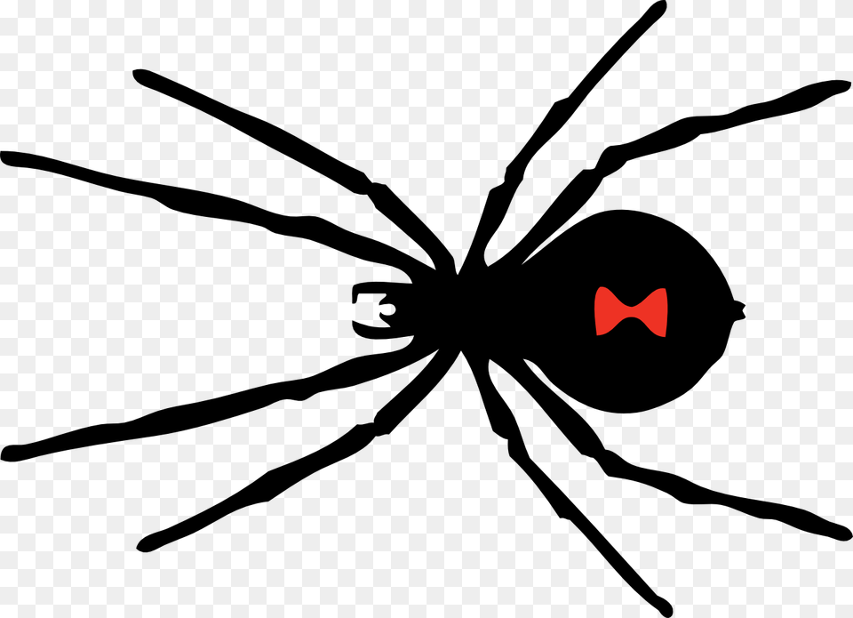 Clipart Of Spider Spider To And Spider In Black Widow Spider, Animal, Invertebrate, Black Widow, Insect Png Image