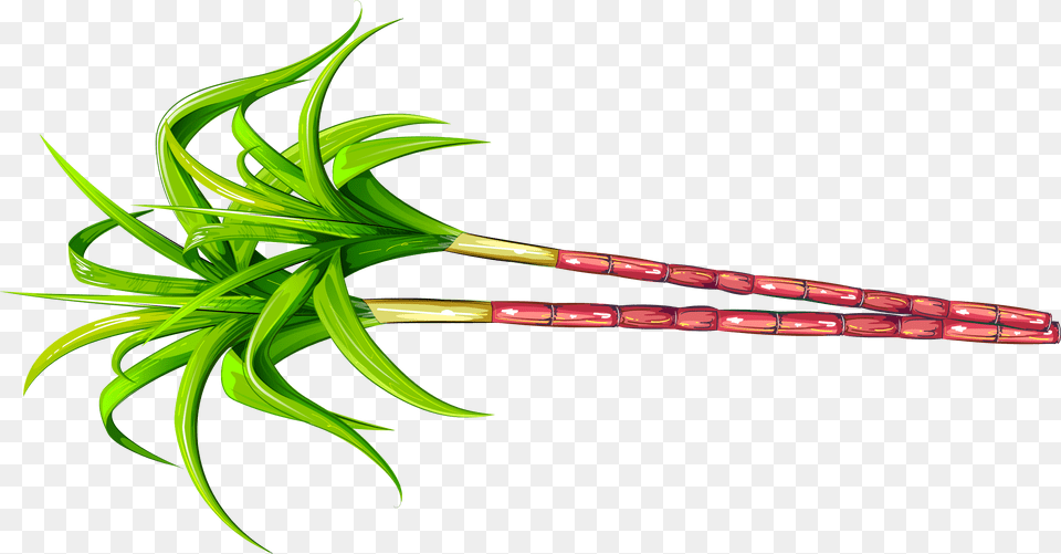 Clipart Of Sugarcane Clip Art Images, Food, Produce, Smoke Pipe, Leek Png Image