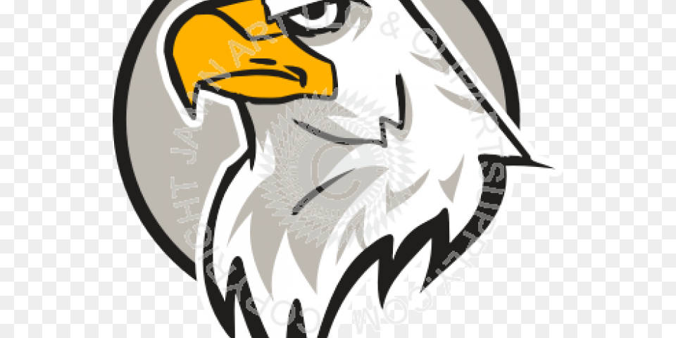 Clipart Of The Day Eagle Head, Animal, Beak, Bird, Bald Eagle Png Image