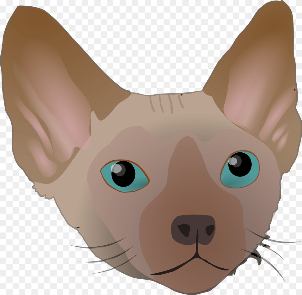 Clipart Of The Sphinx Face Cat Devon Rex, Animal, Pet, Mammal, Fish Free Png