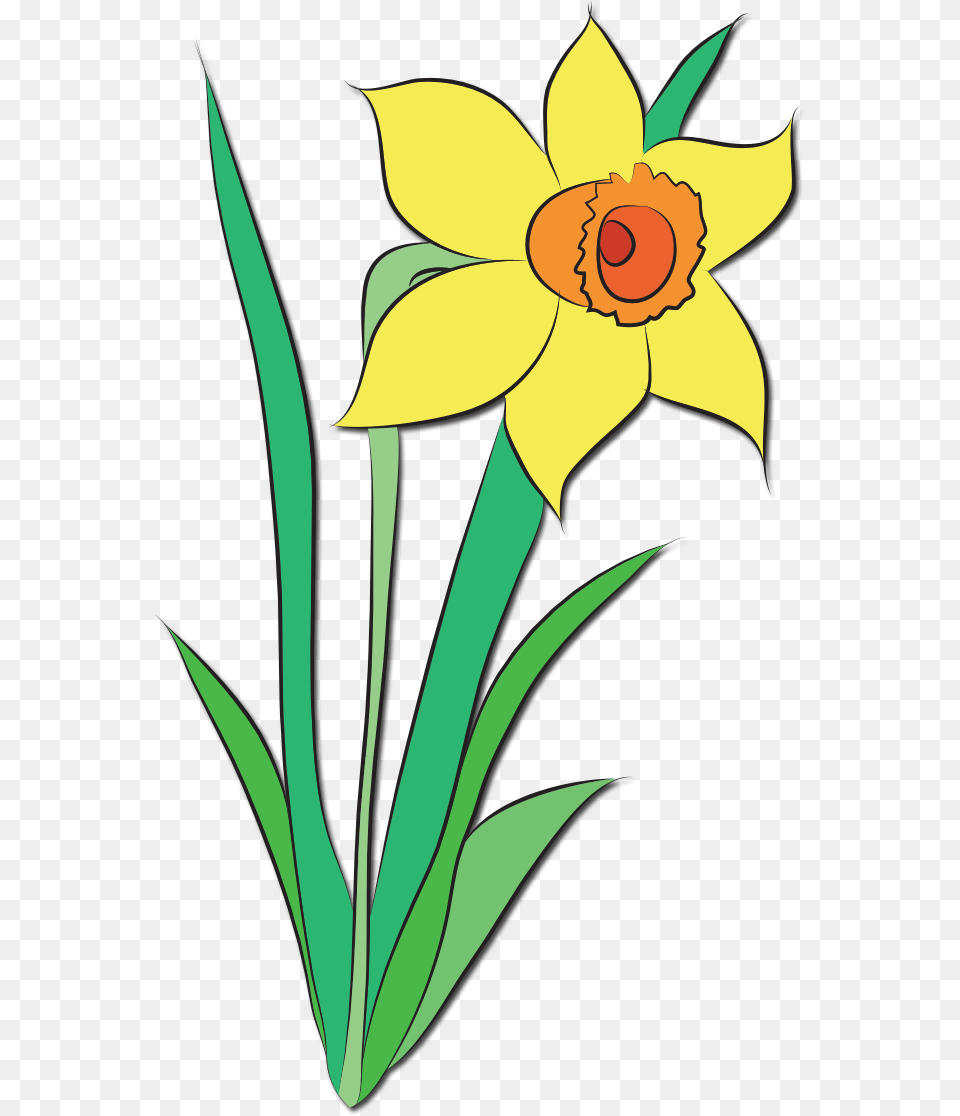 Clipart Of The Yellow Flower Clip Art April Flowers, Daffodil, Plant, Person Free Png