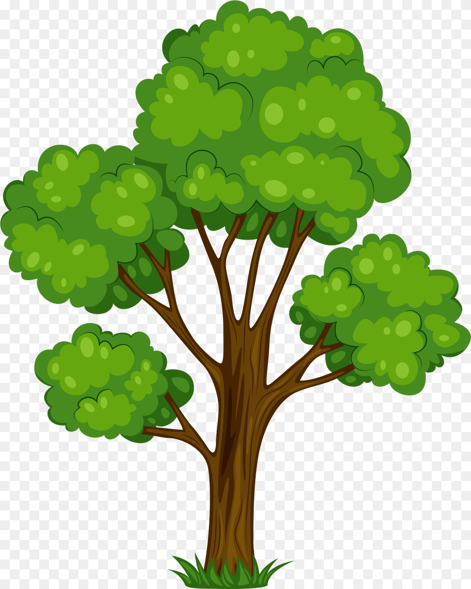 Clipart Of Trees Million And Plant Masha And The Bear Masha And The Bear Tree, Green, Vegetation, Cross, Symbol Free Transparent Png