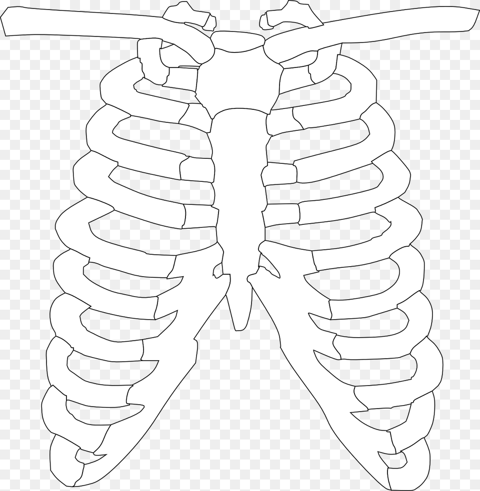 Clipart Of X Ray Png Image