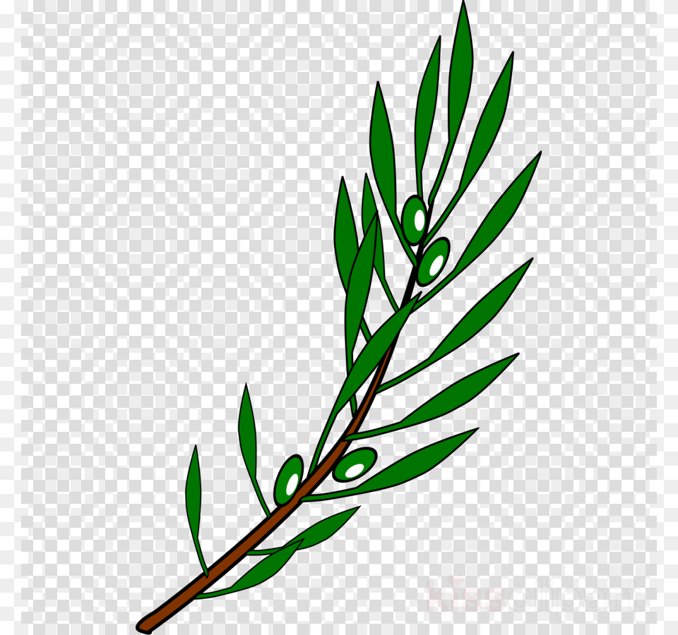 Clipart Olive Branch, Bud, Flower, Grass, Sprout Free Png
