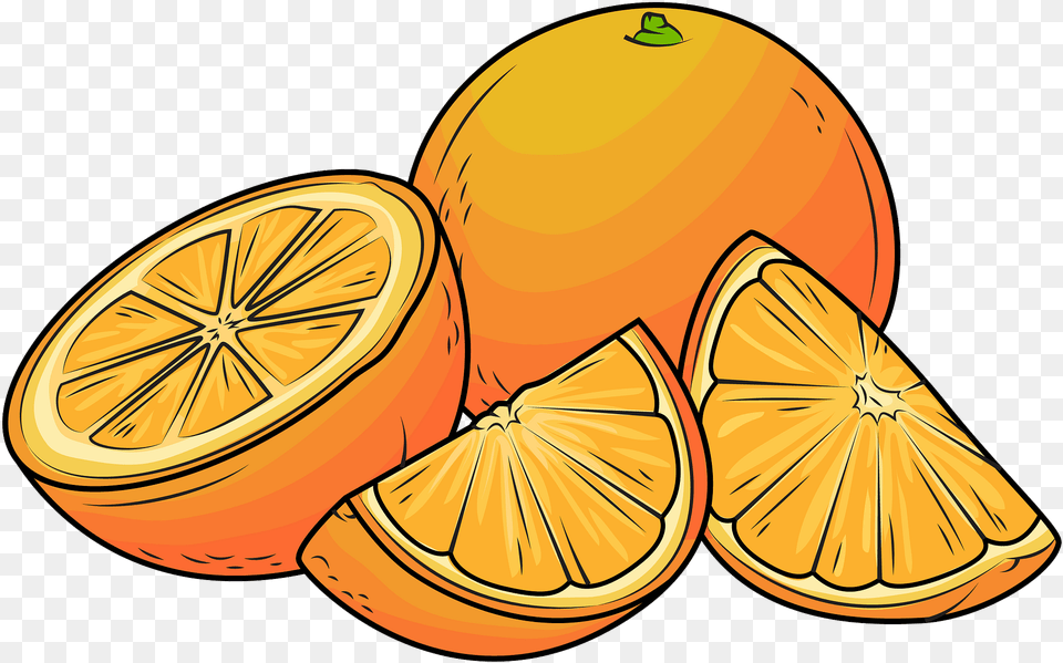 Clipart Orange Clipart, Citrus Fruit, Food, Fruit, Plant Png