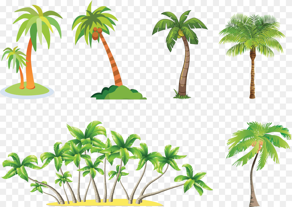 Clipart Palm Tree With Coconuts Png Image