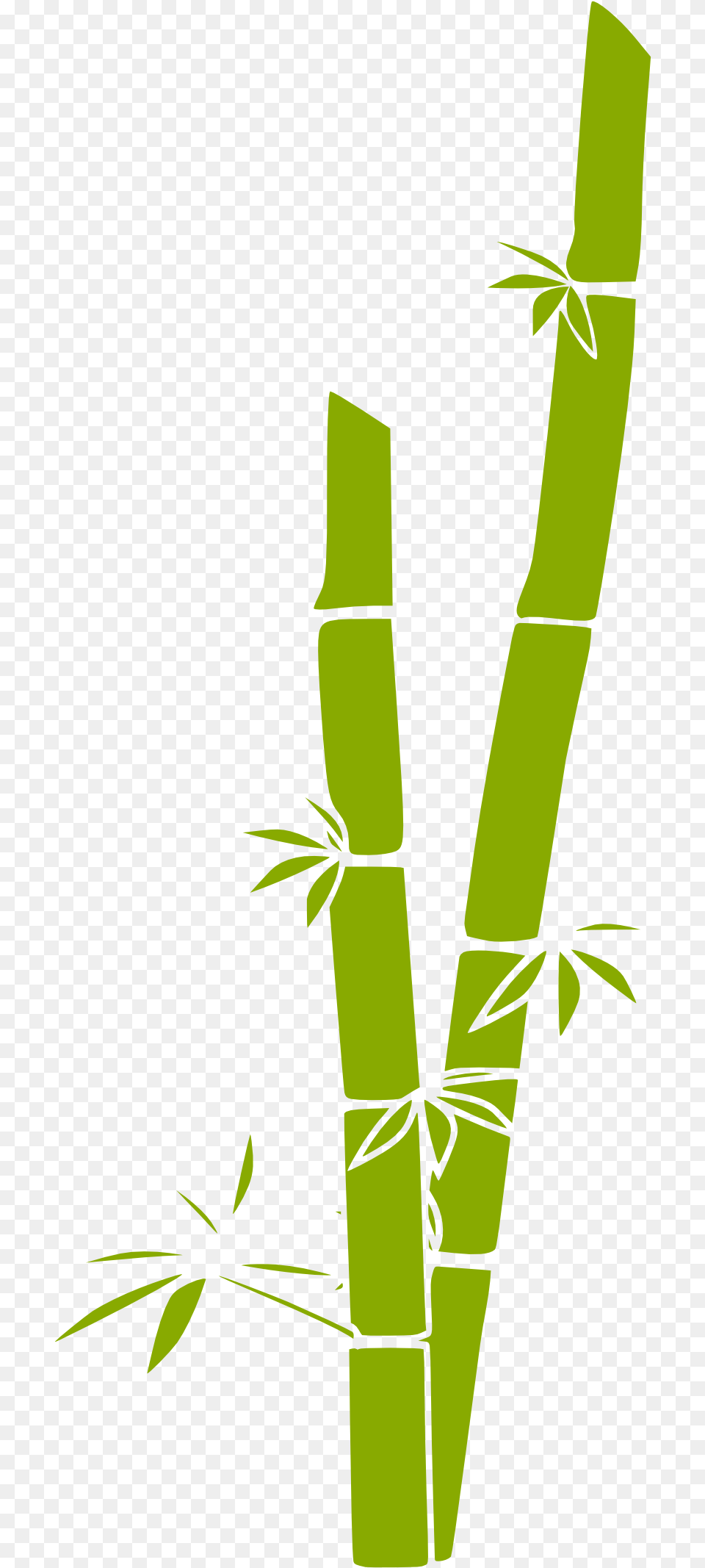 Clipart Panda Bamboo Forest Art Bamboo Clipart, Plant Free Png