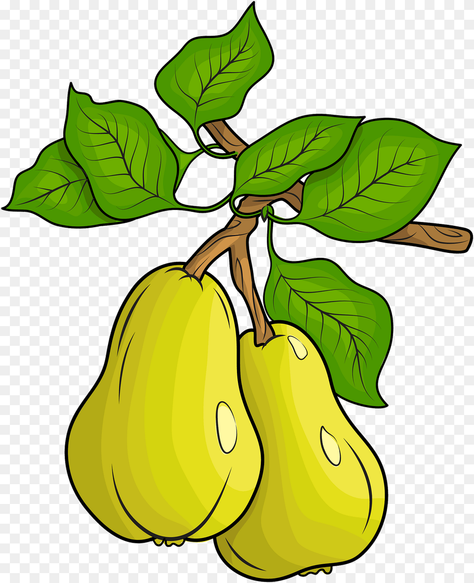 Clipart Pears Clipart, Food, Fruit, Plant, Produce Free Transparent Png