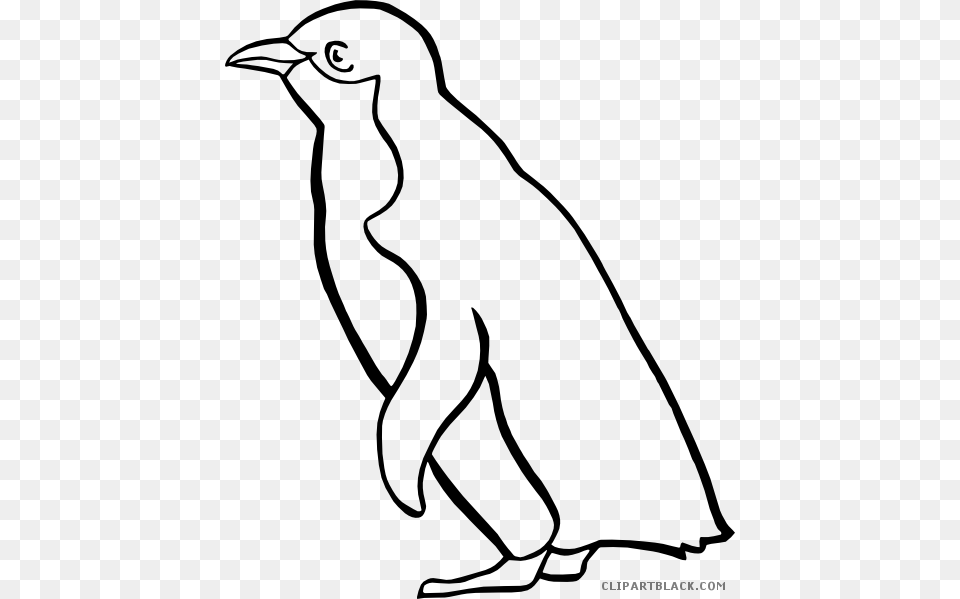 Clipart Penguin Clipart Black And White Clipart Free Download, Gray Png