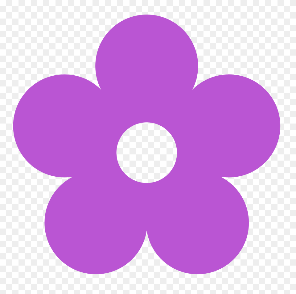 Clipart Petal Daisy, Purple, Anemone, Flower, Plant Png Image