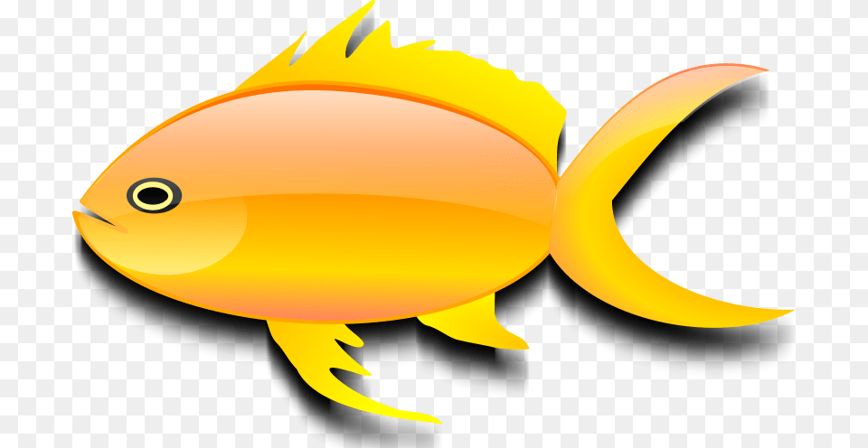 Clipart Pez Dorado, Animal, Sea Life, Fish, Goldfish Free Png Download