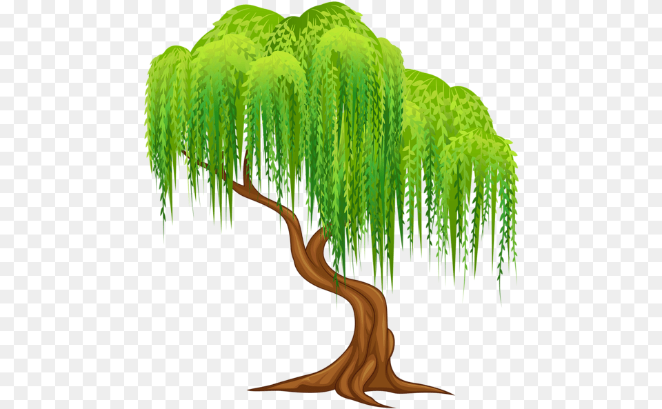 Clipart Phone Background Weeping Willow Tree Clipart, Plant, Vegetation, Land, Nature Free Transparent Png