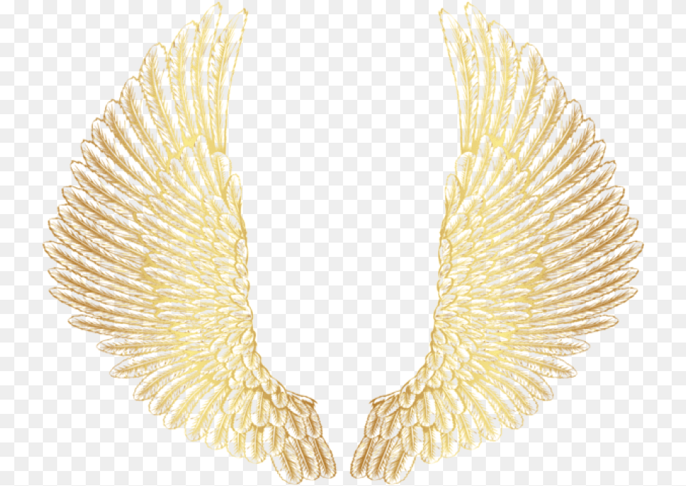 Clipart Photo Transparent Gold Wings, Accessories, Jewelry, Necklace, Plant Free Png Download