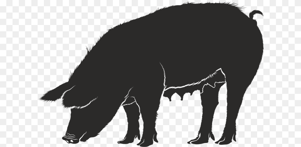 Clipart Pig Silhouette Silhouettes Of Pig, Animal, Boar, Hog, Mammal Png